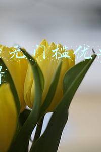 拼多多无门槛优惠券怎么获得