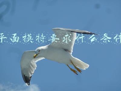 平面模特要求什么条件男(平面模特的基本要求)