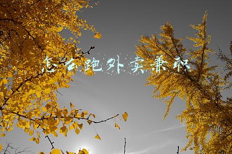 怎么跑外卖兼职
