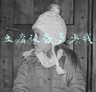 豆腐设备多少钱