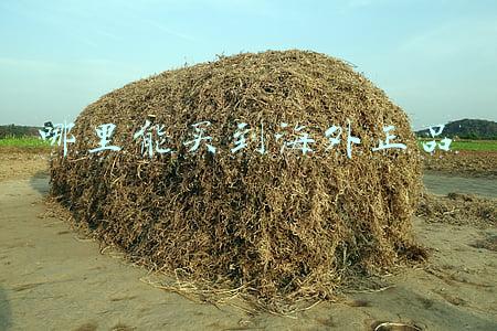哪里能买到冰墩墩(“冰墩墩”购买指南来啦！赶快安排上)
