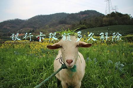 一般银行卡限额多久解除(信用卡逾期了10天了后果就很严重，是真的吗？)