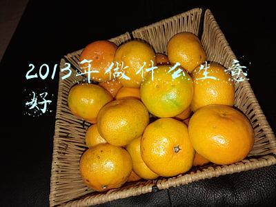2013年做什么生意好