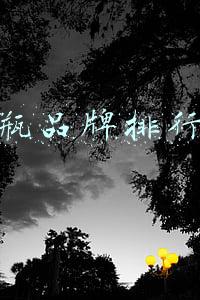 奶瓶品牌排行榜