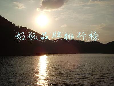 奶瓶品牌排行榜