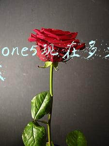 ipone5现在多少钱