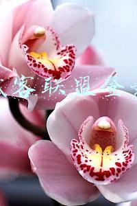 试客联盟登录