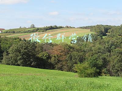 微信群营销