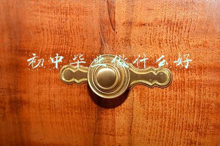初中毕业做什么好