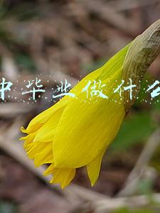 初中毕业做什么比较好(适合初中学历的30种技术)