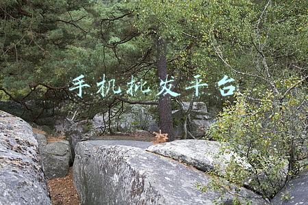 手机批发平台