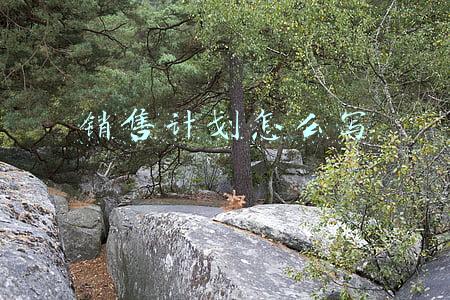 销售计划怎么写