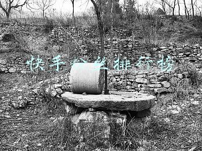 快手粉丝排行榜