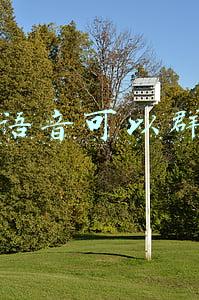 微信语音可以群发吗