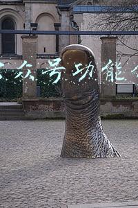 微信公众号功能介绍怎么写