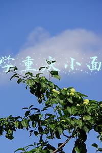 学重庆小面
