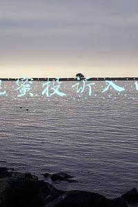 规蜜投诉入口