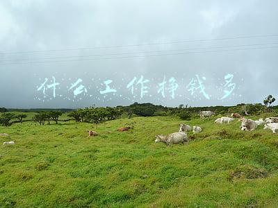 什么工作挣钱多又轻松(什么工作挣钱工资高)