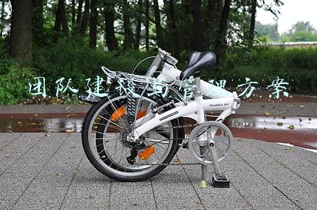 管理团队建设具体方案(如何加强团队建设？提高团队凝聚力？)
