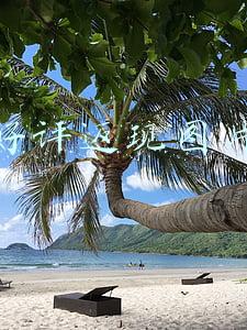 好评返现图片