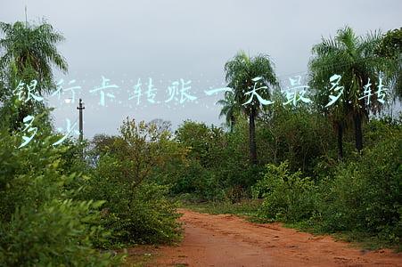 银行卡转账一天最多转多少