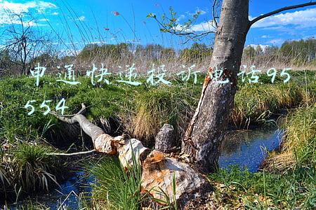 申通快递投诉电话95554