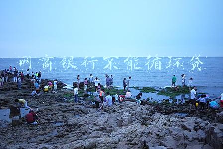网商银行不能循环贷