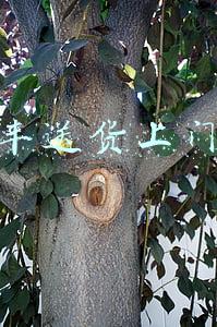 顺丰送货上门吗
