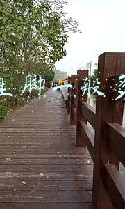 中国女生脚一般多大(说一下人的脚.)