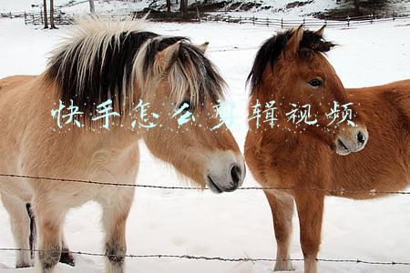 快手怎么剪辑视频