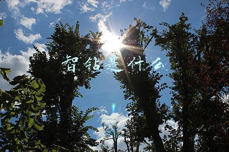 智钻是什么意思(淘宝智钻！钻展的群体定向方式有哪些？)