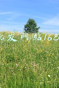 批发网站1688