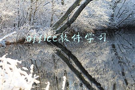 office软件学习