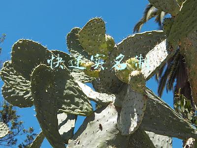 快递实名制好处与坏处(普法微视频：收发快递一定要记得实名登记哦！)