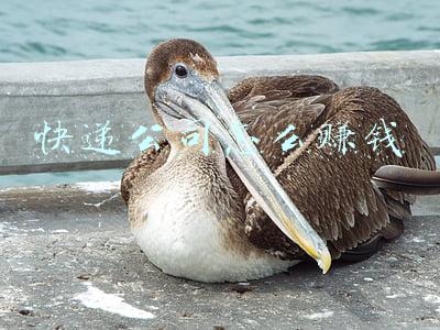 快递公司怎么赚钱
