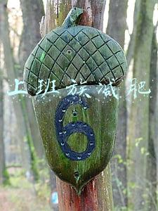 上班族减肥