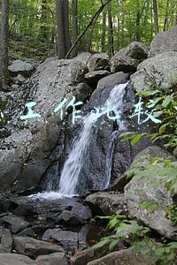 什么工作比较自由