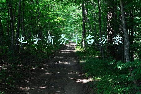 电子商务平台方案