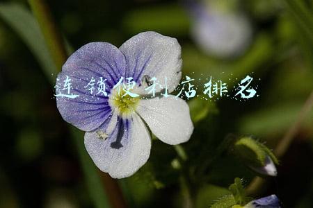 连锁便利店排名