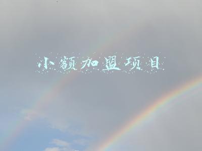 小额加盟项目