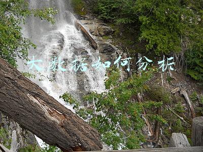 大数据如何分析个人轨迹(本轮疫情何时结束？大数据调查会否泄露隐私……权威专家解释你关心的若干热点问题)
