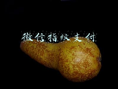 微信指纹支付