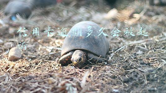 信用卡逾期多久会被起诉