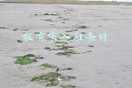 极有家怎么加入(怎么认证淘宝极有家？)