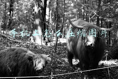 手机上怎么压缩图片