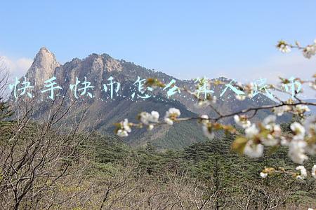 快手快币怎么算人民币81800(36氪首发｜「纽瑞芯科技」完成2亿人民币A轮融资，UWB系列系统芯片已完成试量产)