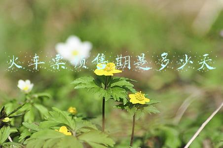 火车票预售期是多少天
