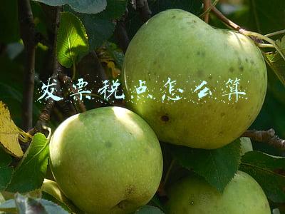 发票税点怎么算