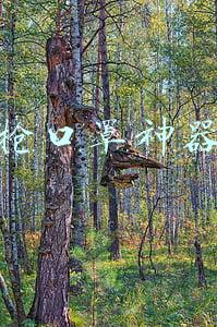 抢口罩神器