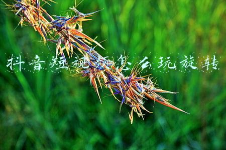 抖音短视频怎么玩旋转